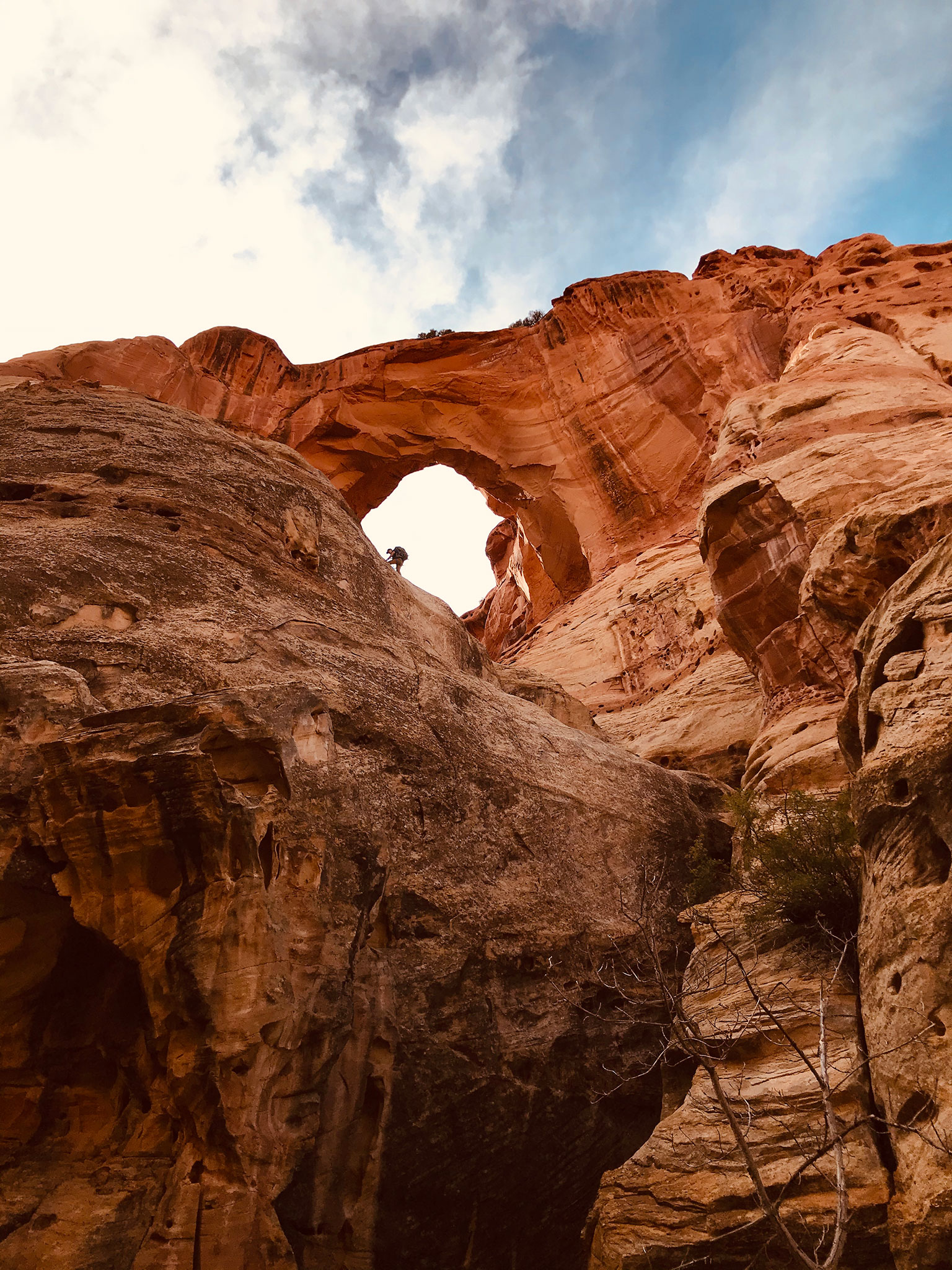 cassidy arch canyon capitol reef rappel 2 bottom view