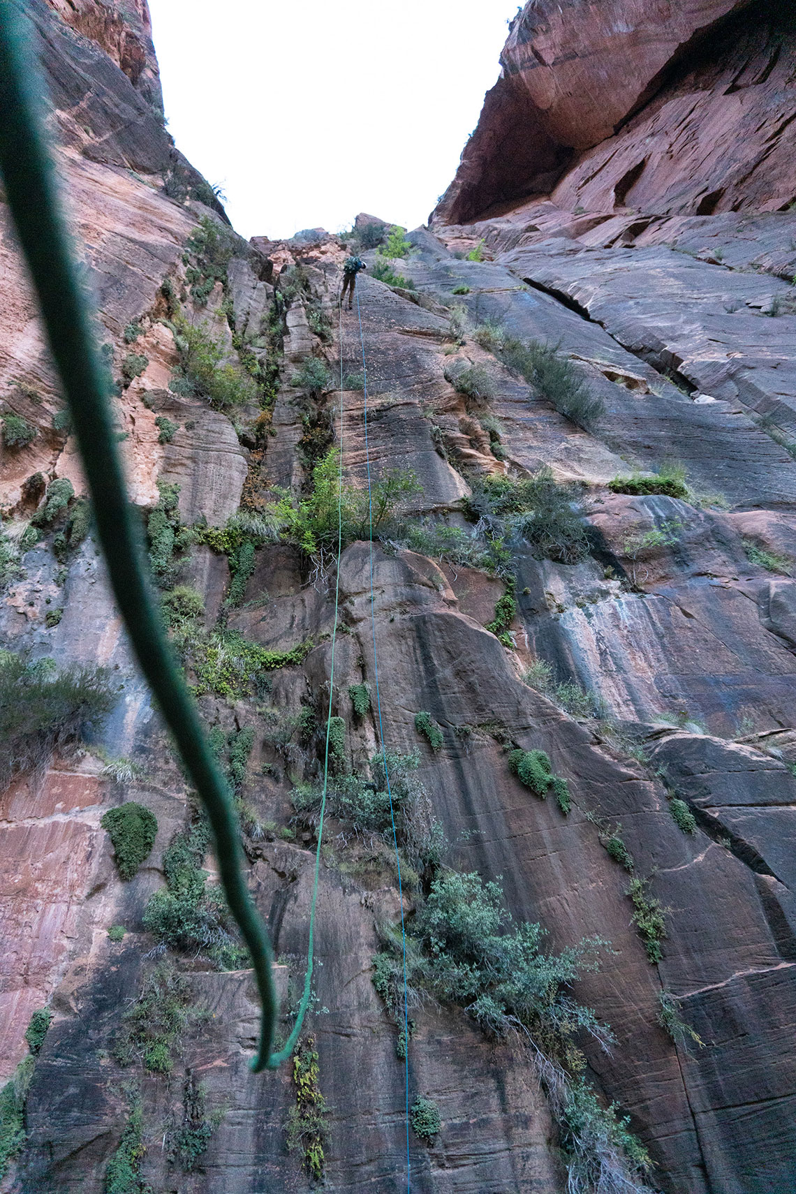 Bottom view of person descending Rappel 9, Behunin Canyon