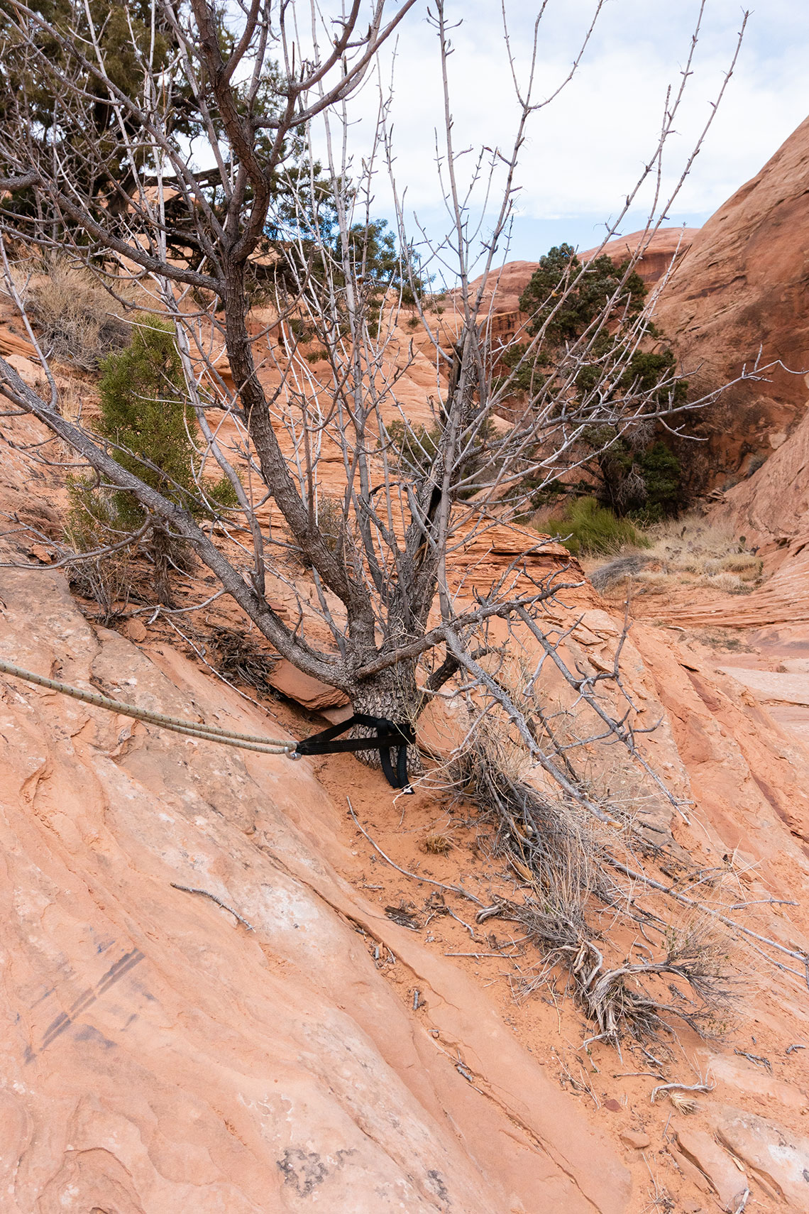Longbow Arch Canyon Rappel 3 Anchor
