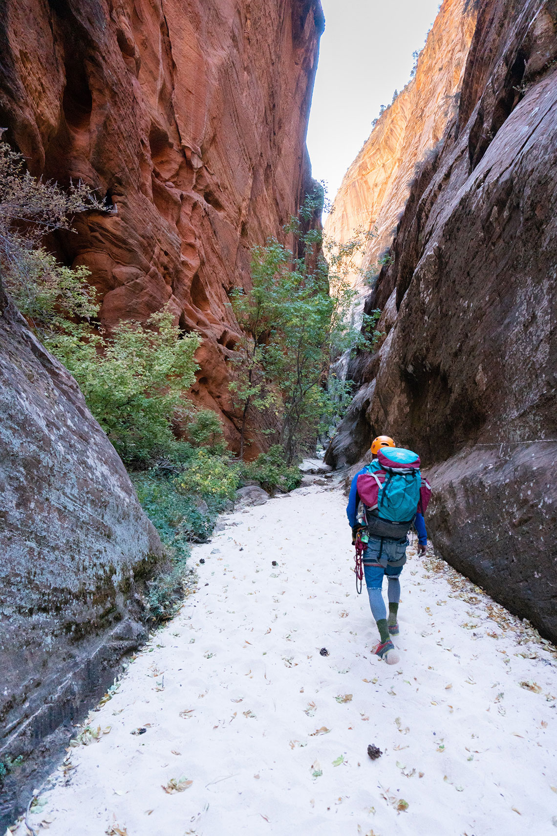 Bottom of Rappel 5 Behunin Canyon
