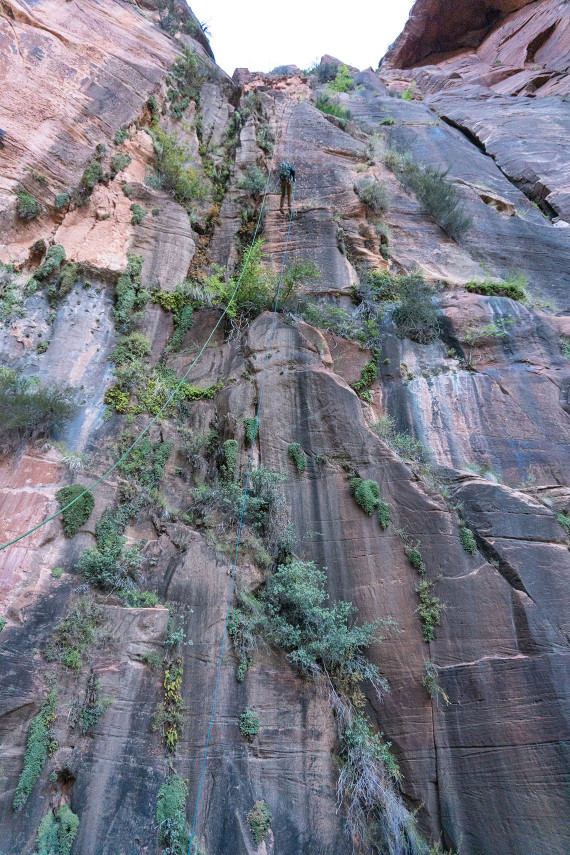 Bottom view of Rappel 9, Behunin Canyon, Zion