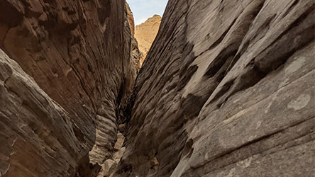 Stegosaur Slot Capitol Reef
