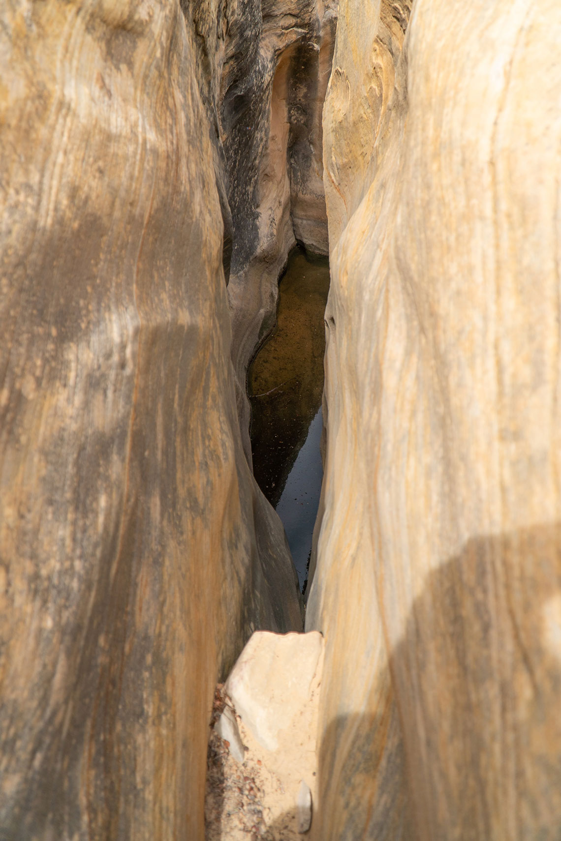 Looking down the first downclimb in Wonderland Canyon