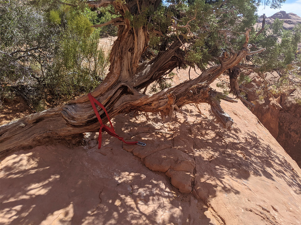 Tree anchor on rappel 1 in Pool Arch Canyon