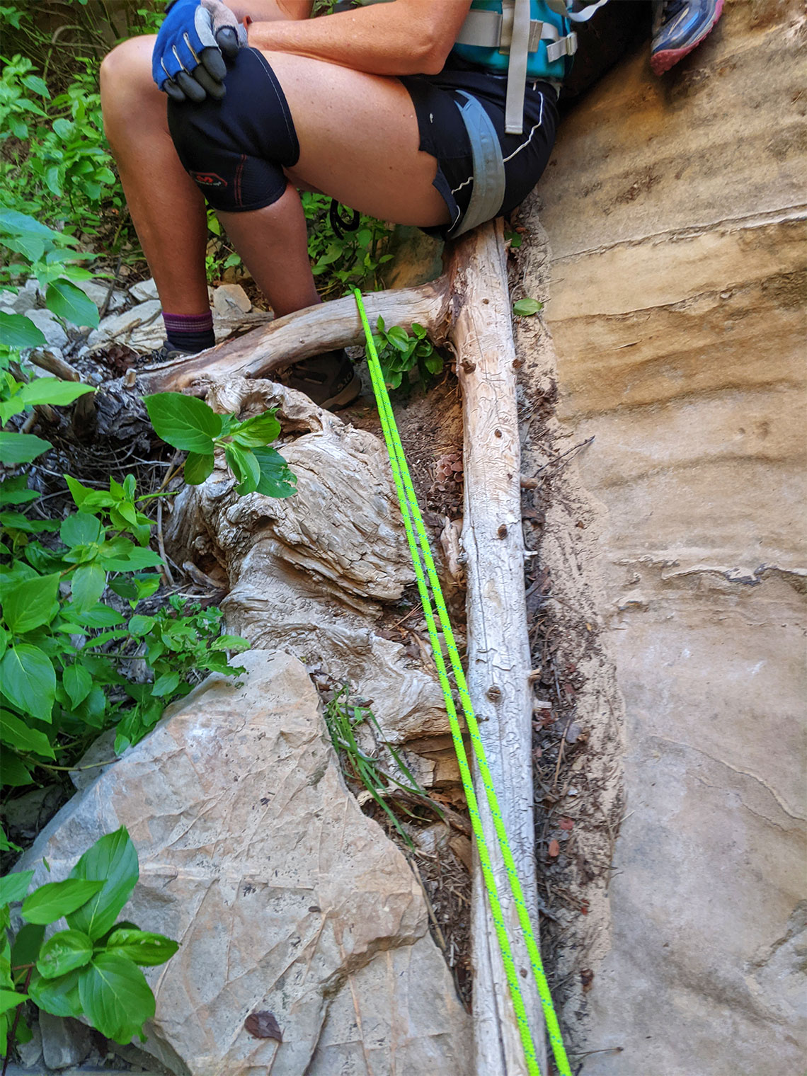 Rope anchored to log in Imlay Canyon