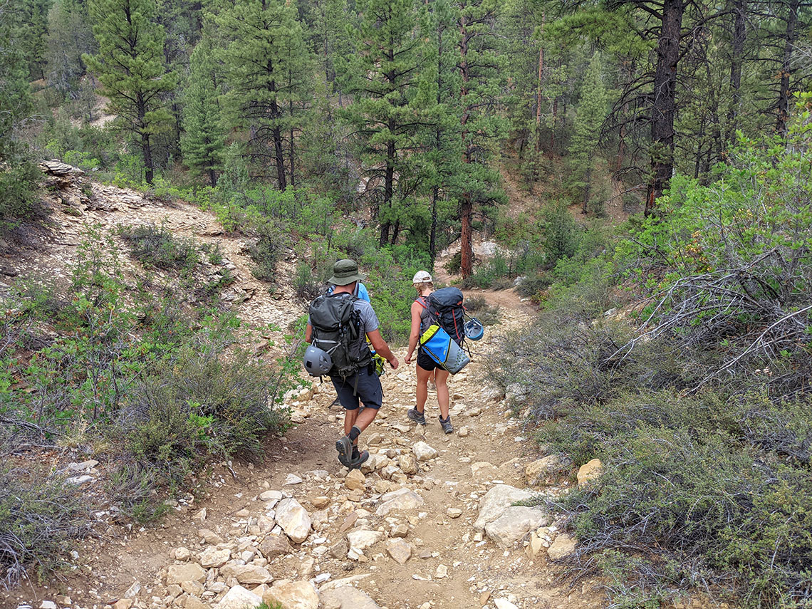 Walking down the ATV trail to Englestead Hollow