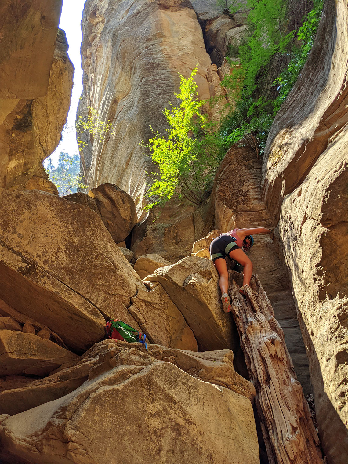 Downclimbing a log in Englestead