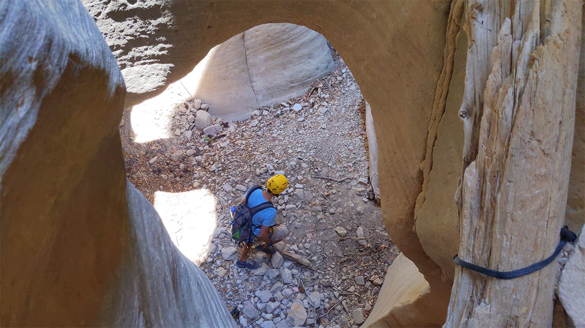 Rappel 8 anchor is slung around a log