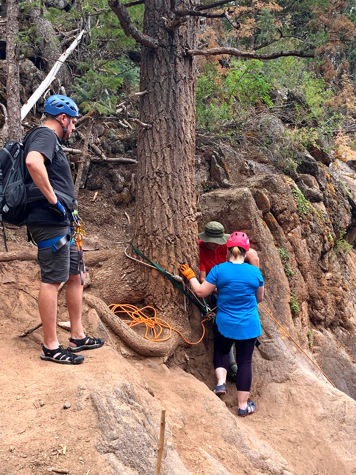 A big tree for and anchor at the first rappel