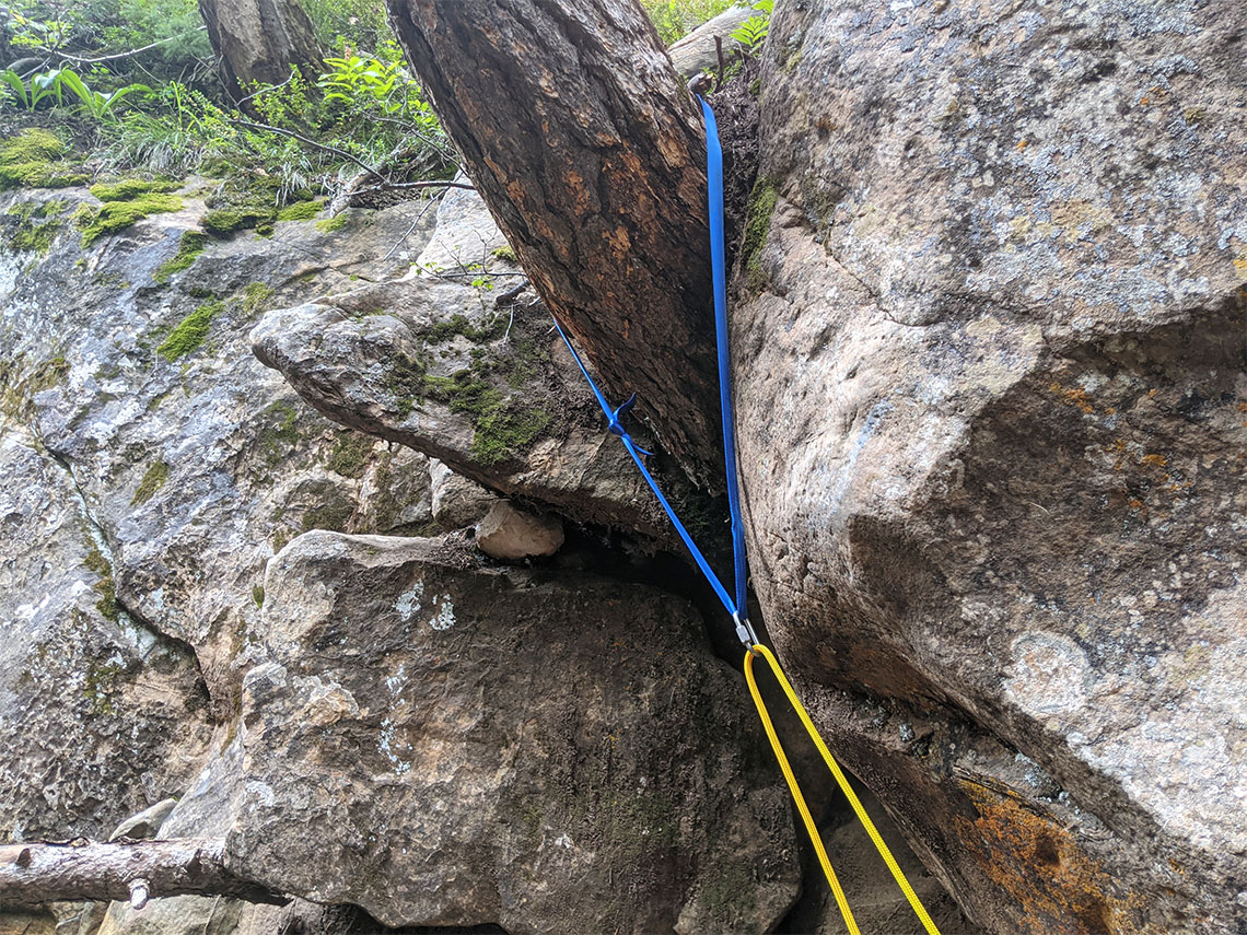 A tree provides an anchor for rappel 1