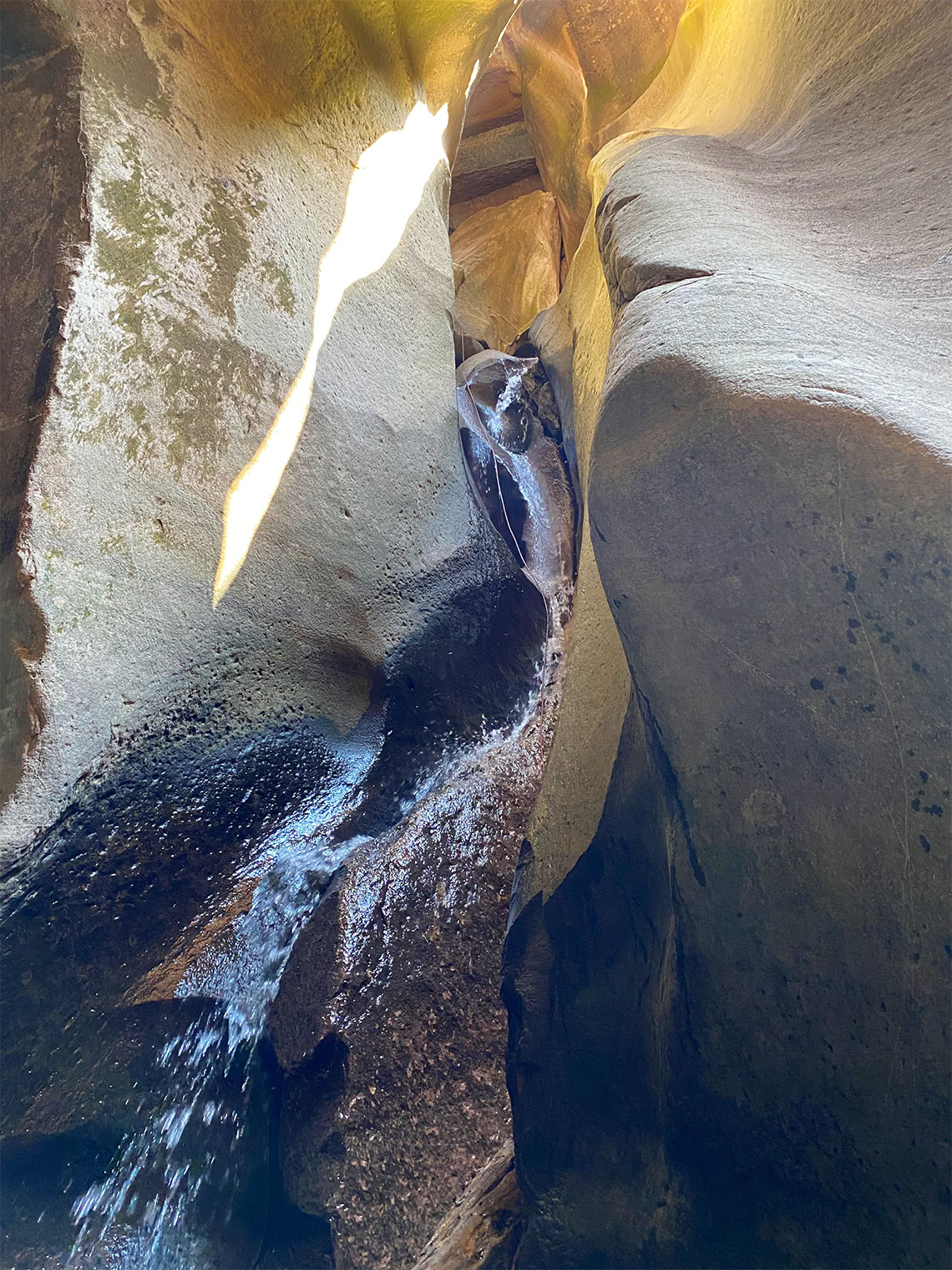 Looking up rappel 3 in Pleiades Canyon