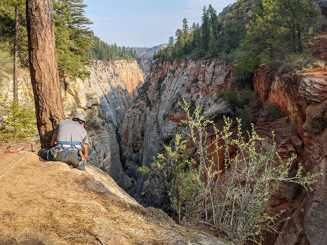 Big tree as the anchor for the first rappel in Englestead