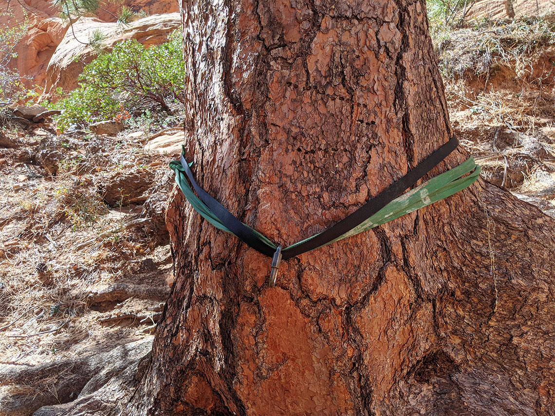 Tree as an anchor for rappel 2 in Behunin