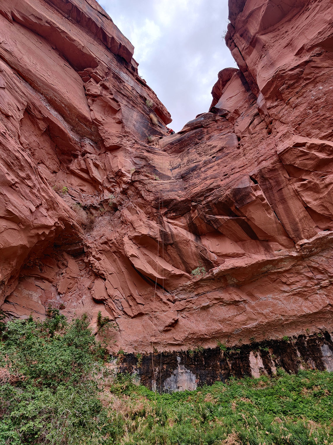 Looking up at the 3rd rappel in Pool Arch Canyon