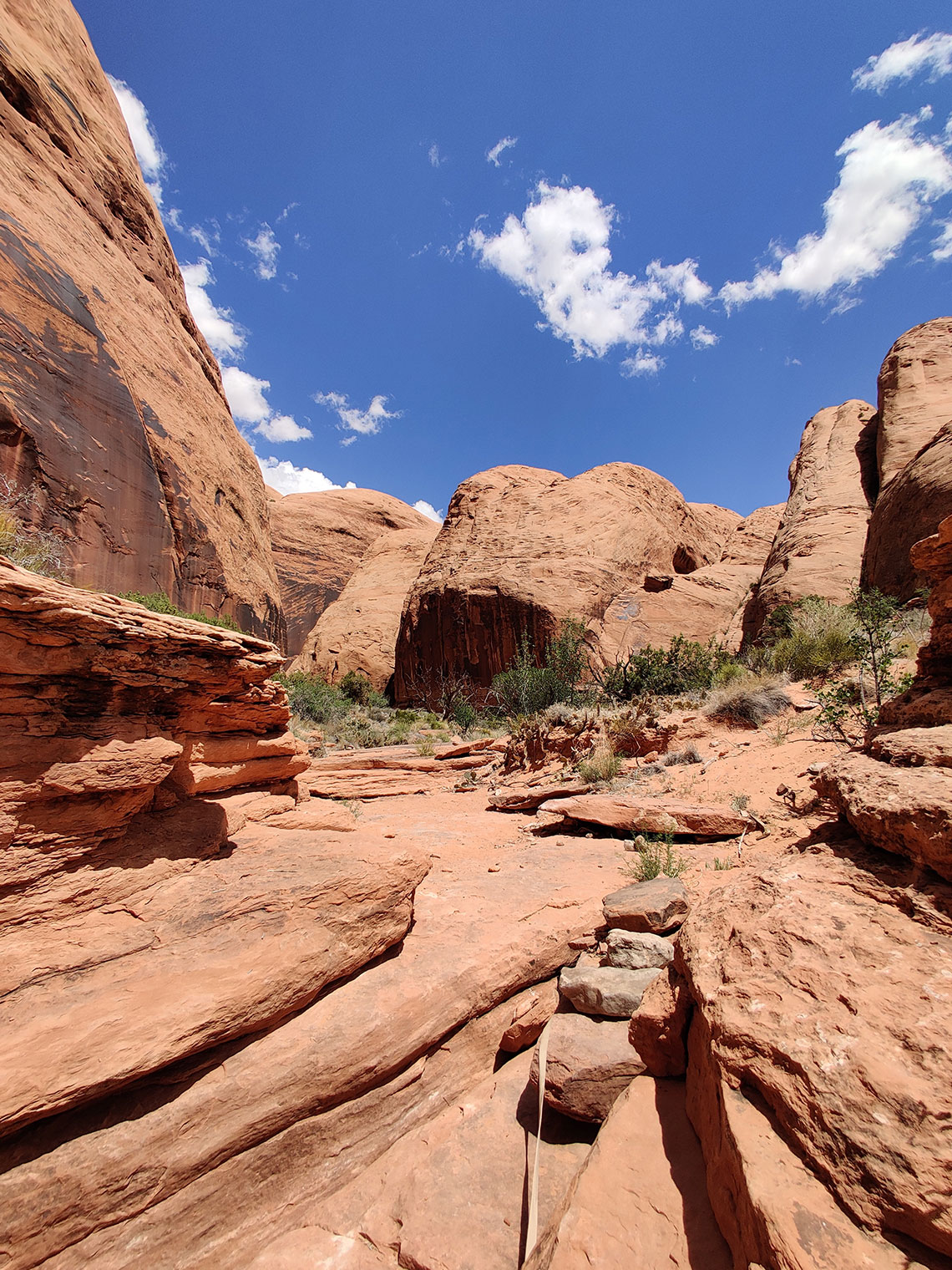 Belay anchor for the 3rd rappel in Pool Arch Canyon