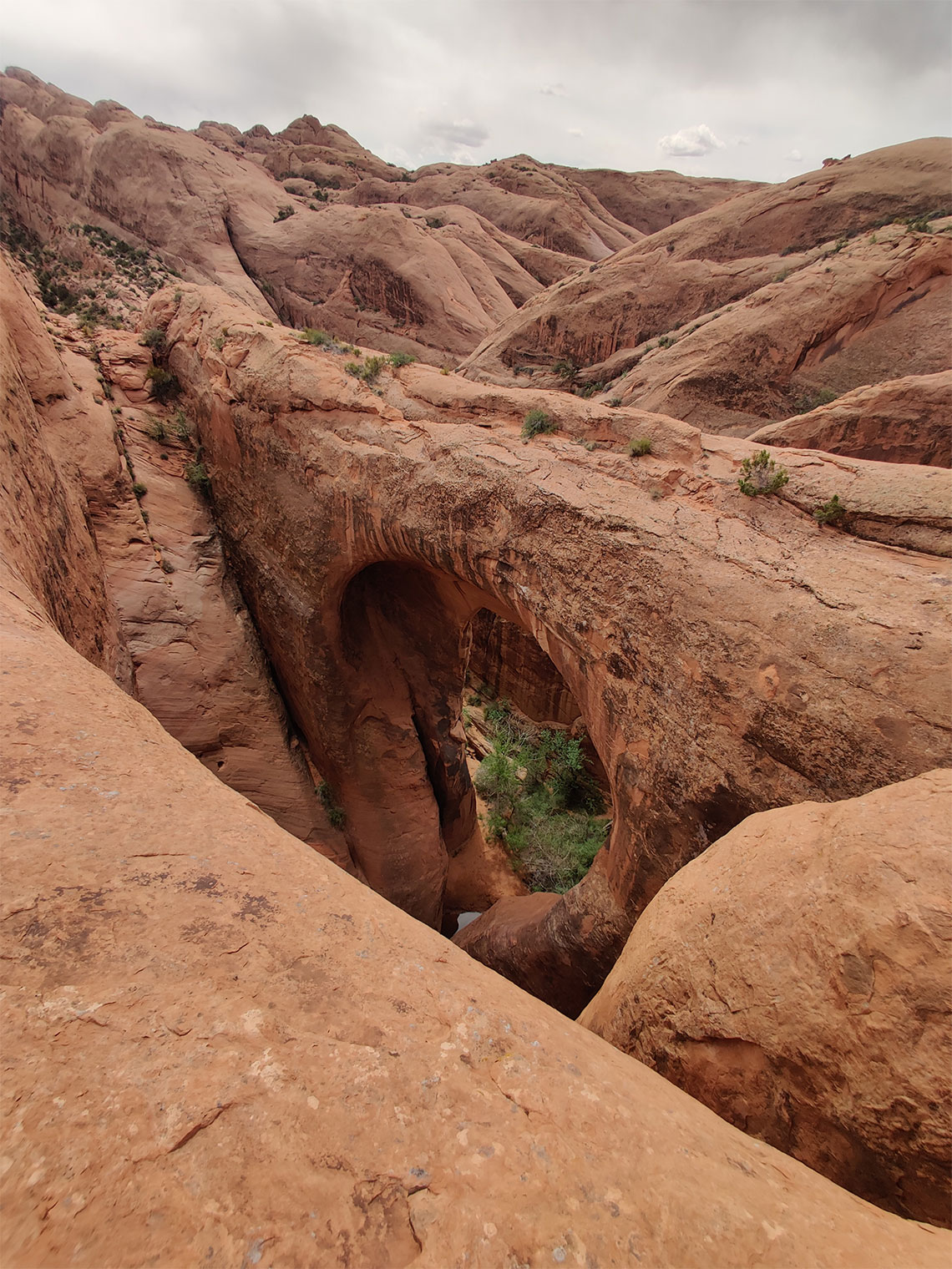 Top of the first in rappel Pool Arch Canyon