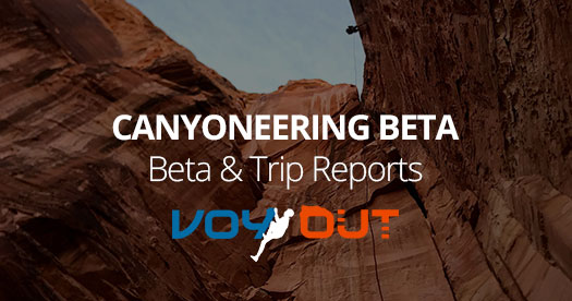 VoyOut Adventures