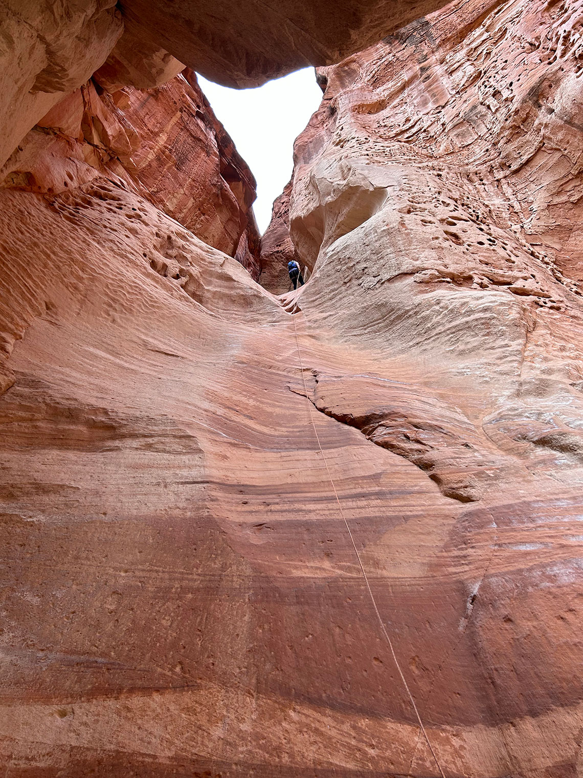 Looking up a 95 foot rappel in Sunglow Canyon