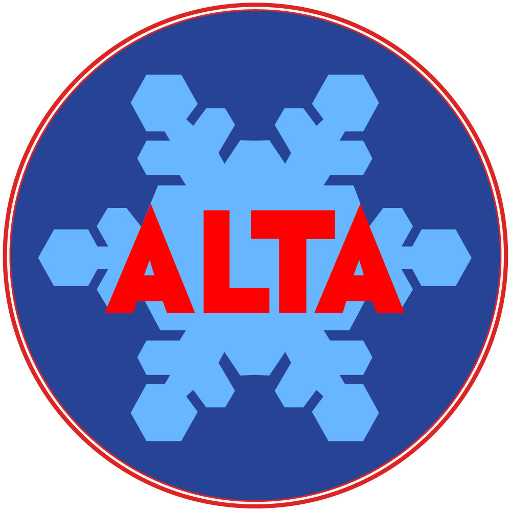 Alta Sticker light blue flake snowflake