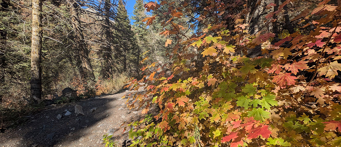Horsetail Falls Alpine Utah Fall leaves