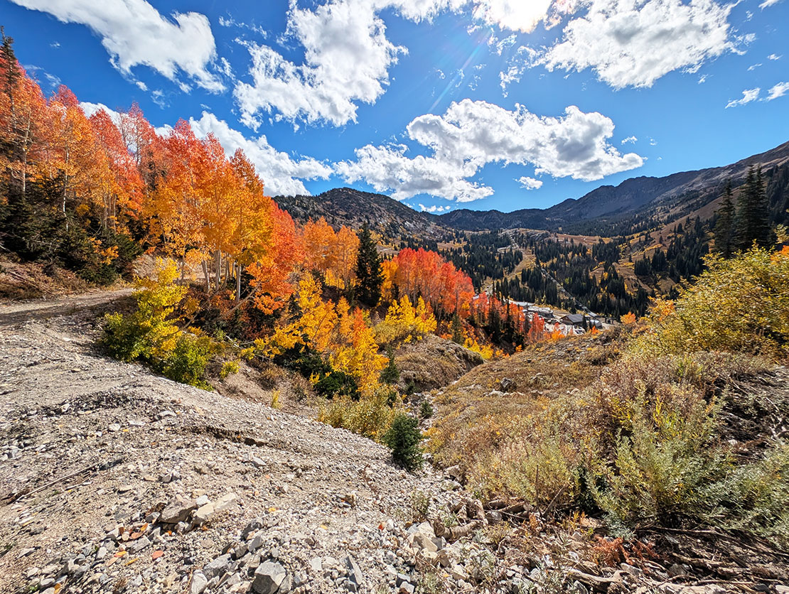 Prince of Wales Mine Trail Fall colors