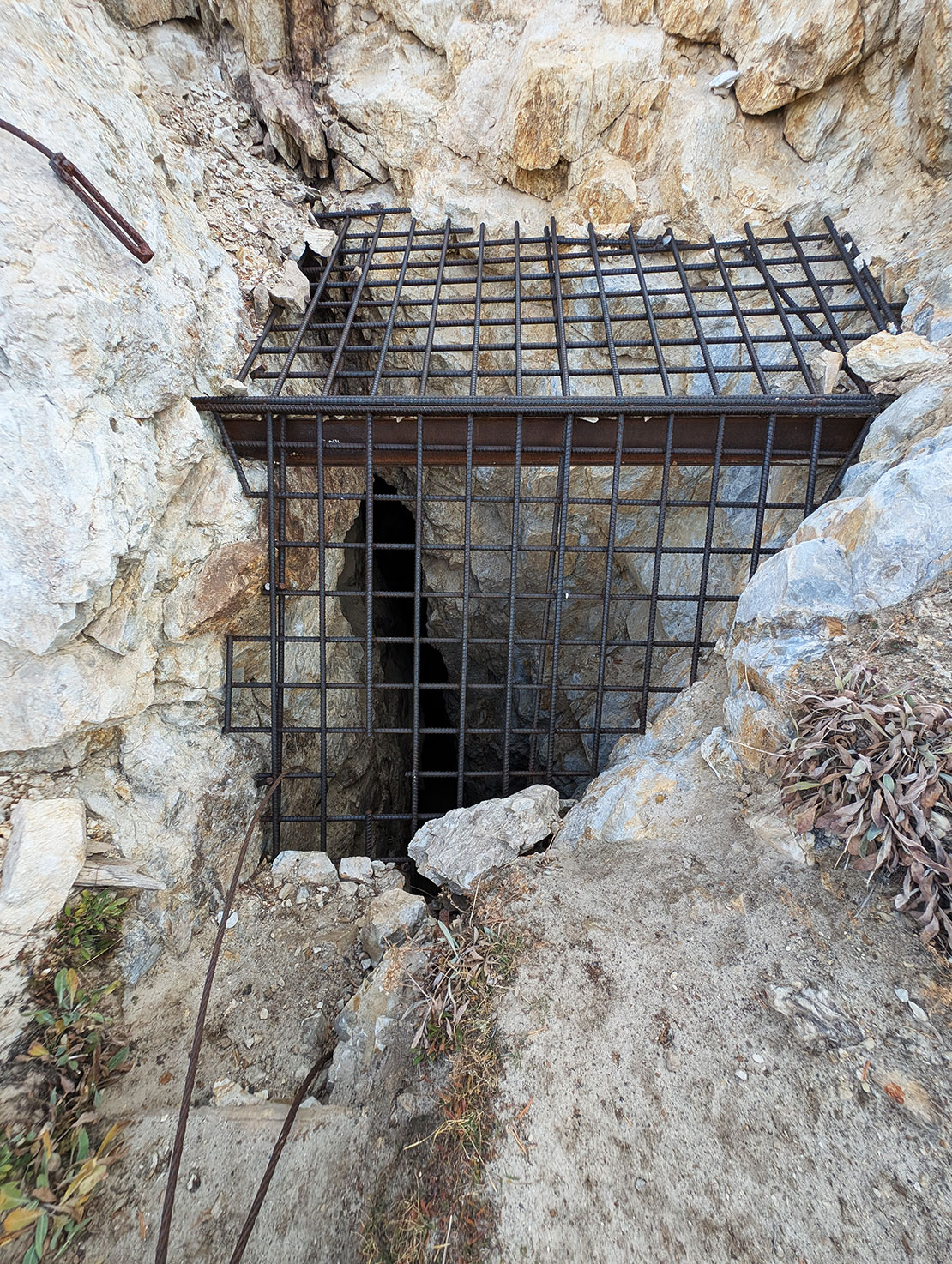 Prince of Wales Mine Trail Shaft