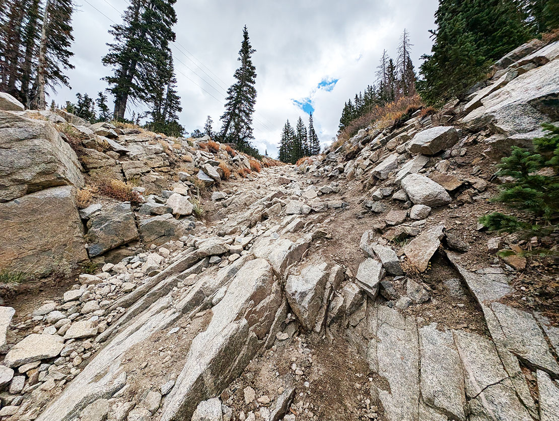 Prince of Wales Mine Trail path rock