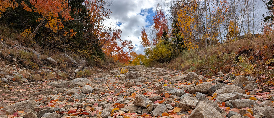 Prince of Wales MIne Trail Path